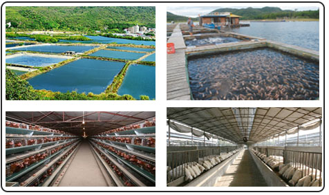 养殖场环境监测系统