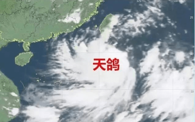 “天鸽”来临,因安装低质报警器损失10万