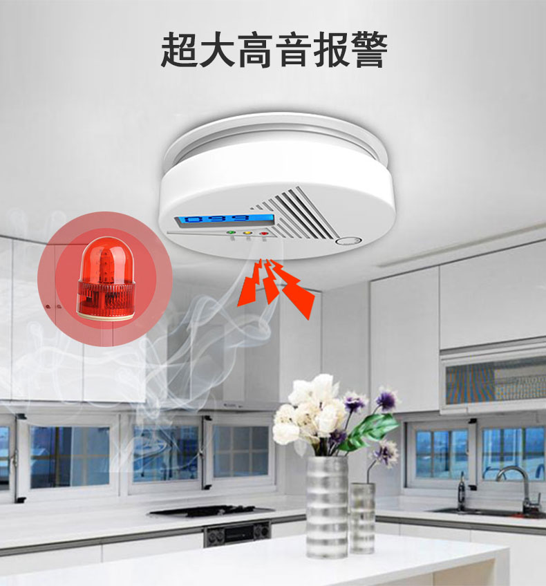 一氧化碳安装以及维护(图2)