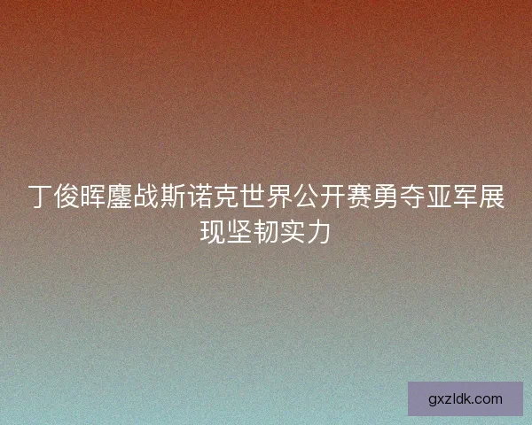 丁俊晖鏖战斯诺克世界公开赛勇夺亚军展现坚韧实力