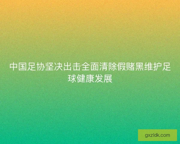 中国足协坚决出击全面清除假赌黑维护足球健康发展