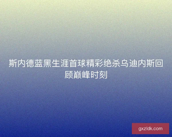 斯内德蓝黑生涯首球精彩绝杀乌迪内斯回顾巅峰时刻